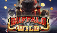 Buffalo Goes WIld